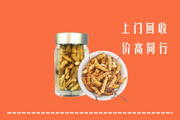 新宾县回收冬虫夏草
